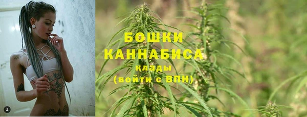 ешки Арсеньев