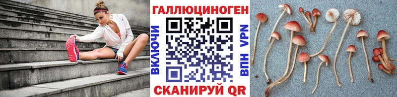 darknet официальный сайт Мытищи Псилоцибиновые грибы ЛСД